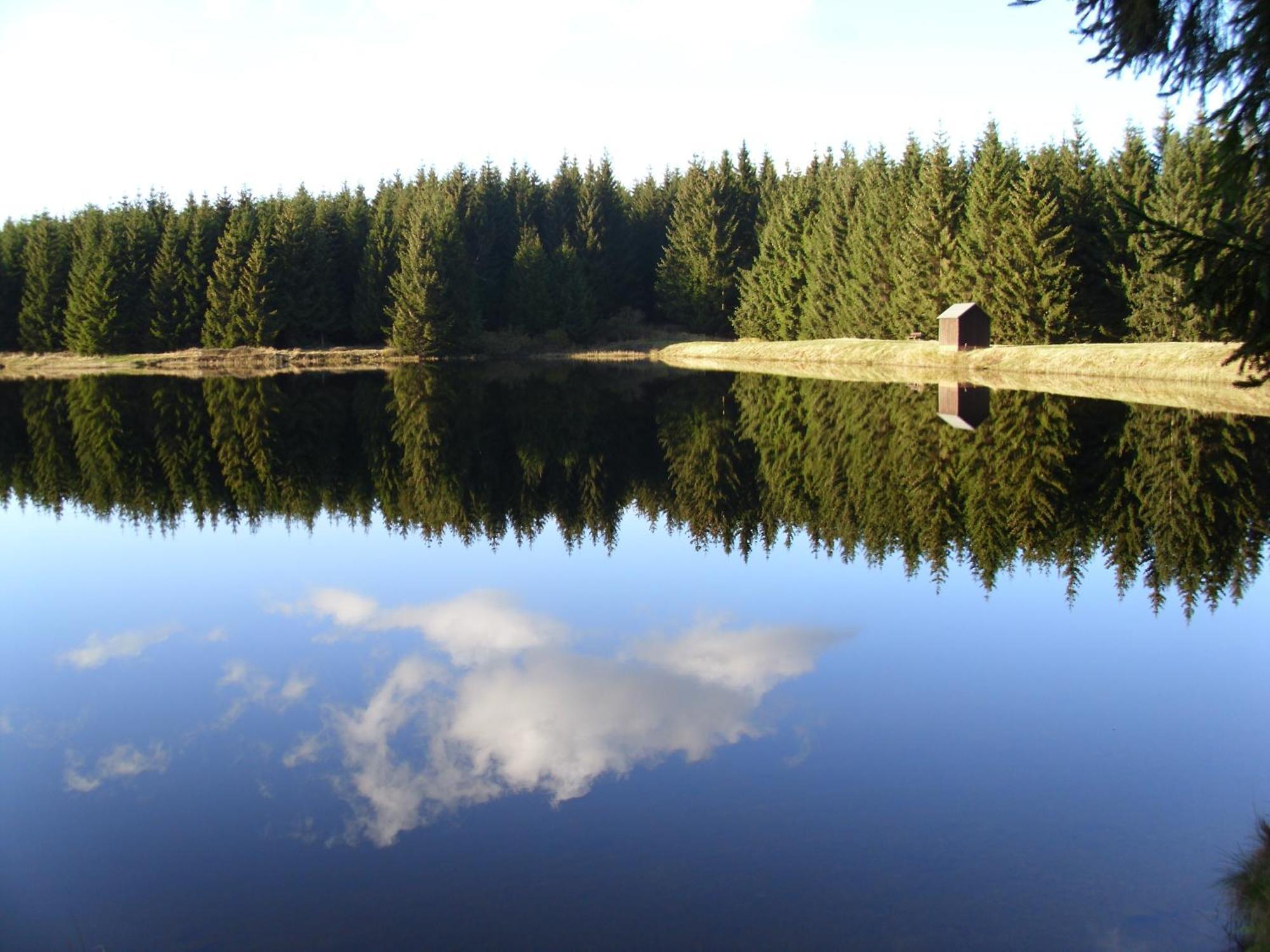 Naturkost-Hotel Harz Bad Grund Buitenkant foto