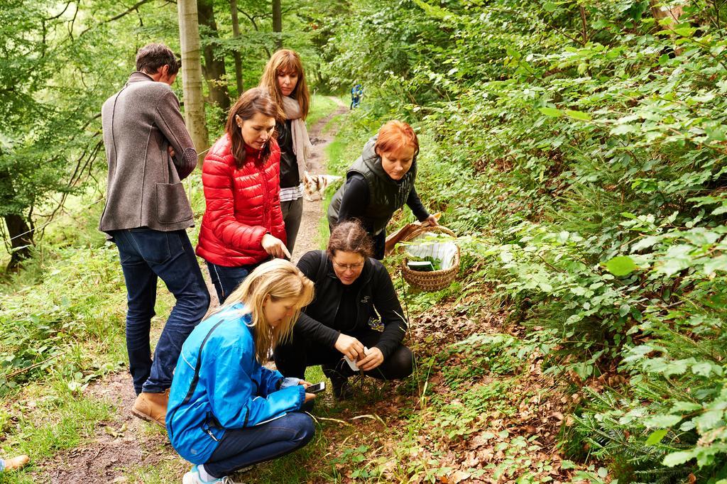 Naturkost-Hotel Harz Bad Grund Buitenkant foto